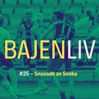 Snuvade av Snoka