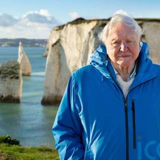 Attenborough's Ocean Combines Film and Music, Young Adults Urged to Claim Funds, UK Bans VAT on Private Healthcare, MultiVehicle Crash Blocks M6, and more...