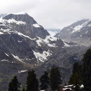 Möte med murmeldjur i Alpernas längsta glaciär