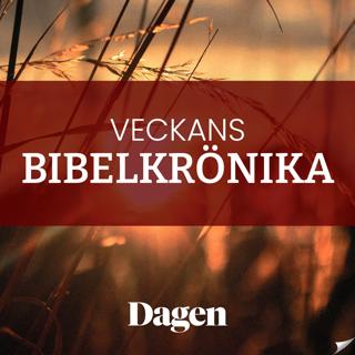 Tjugonde söndagen efter trefaldighet