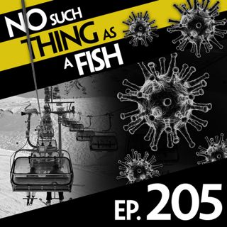 205: No Such Thing As The Number Six