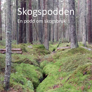 Avsnitt 104 – Peak Skogspodden?