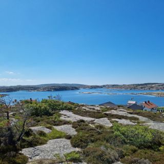 Skogsfredag #119 - Skogsförsäkring gallring, drönare och biokol