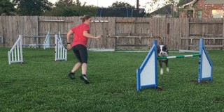 112: How to Run Agility Like a World Champion