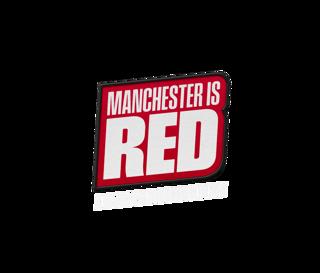 Is Shaw the only OPTION? Mason MOUNT is back?! and Everton Preview