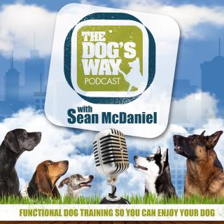 Session 120: Dogs and Babies with Aileen Cronin_