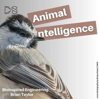 Bioinspired Engineering