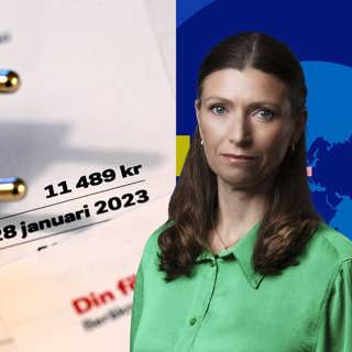 Inför vintern: Okända faktorerna som avgör ditt elpris