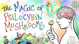 The Magic of Mushrooms - A Psilocybin Renaissance | After Skool