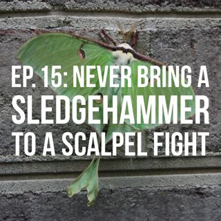 Never Bring a Sledgehammer to a Scalpel Fight
