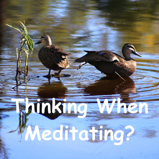 Thinking in Meditation | Vitakka & Bhavana | Buddhist Meditation and Thoughts | Ajahn Dhammasiha