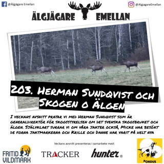 203. Herman Sundqvist & Skogen o Älgen