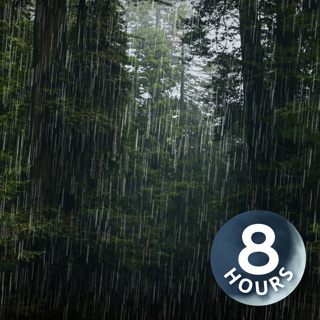 Heavy Rain Sounds for Sleeping & Relaxing | 8-Hour