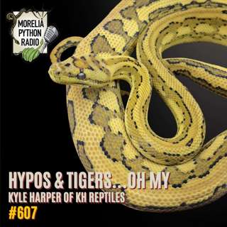 Hypos & Tigers Oh My...Kyle Harpet of KH Reptiles.