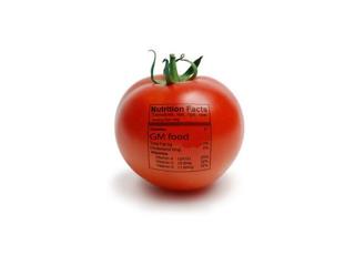 GMOs, Voters, Money and Facts: Lunch w Louden 11/13/14
