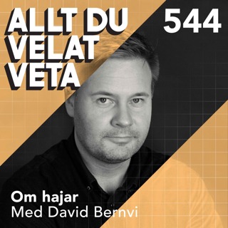 544 Om hajar med David Bernvi - Havets urtidsrovdjur – vad vi egentligen vet om dem?