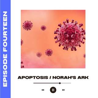 Apoptosis / Norah's Ark (with Hannah Altenbach)