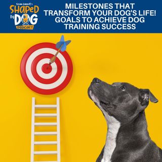 Milestones That Transform Your Dog's Life! Goals To Achieve Dog Training Success #248
