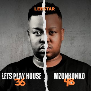 Lets Play House 36
