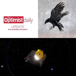 Cigarette Cleaning Crows & The James Webb Telescope