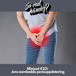 Mellandagsbonus: Minisod #22 – Jons oombedda penisuppdatering