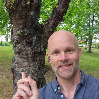 Skogsfredag #338 - Ramsågar, black cherry och ebberöd med plantering?