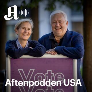 Trumps rumpeprat – hva i all verden?