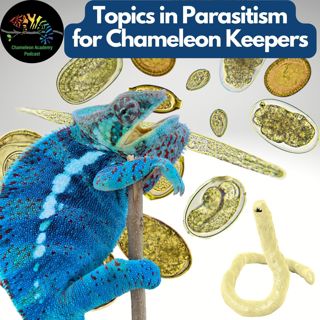 Topics in Parasitism for Chameleon Keepers