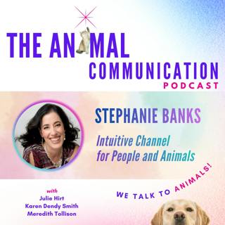 Stephanie Banks - Intuitive Channel