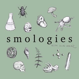 Smologies #24: SHIPWRECKS with Chanelle Zaphiropoulos