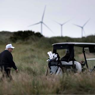 Why is Trump paying to stop wind farms?