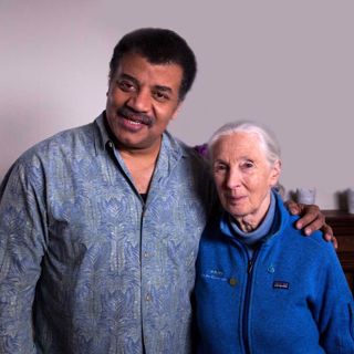 Into the Wild, with Jane Goodall