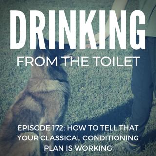 #168: Things That Are Saving My Life Right Now