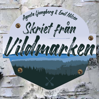 26. Schimpanser, lagar och andra apor.