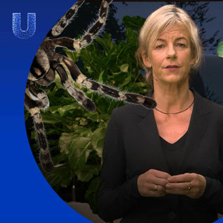 441. Kun je angst uitschakelen?
