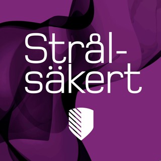 Så granskas en ansökan om ny kärnkraft