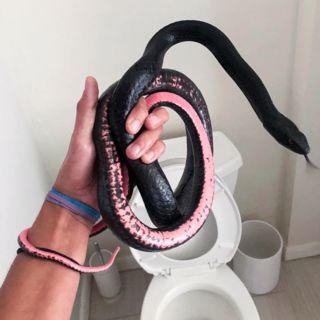 LOOK BEFORE YOU SHIT!!!