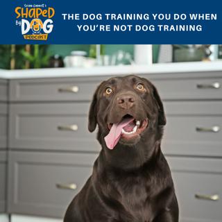 The Dog Training You Do When You're Not Dog Training #83