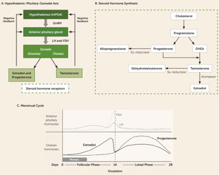 August 2020: Hormonal Treatments for Major Depressive Disorder