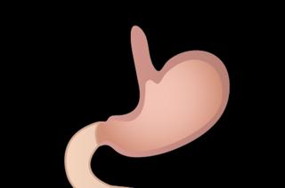 298. Hiatal Hernias