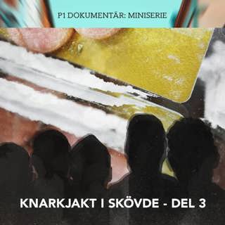 Knarkjakt i Skövde – Den buggade bilen | Del 3/3