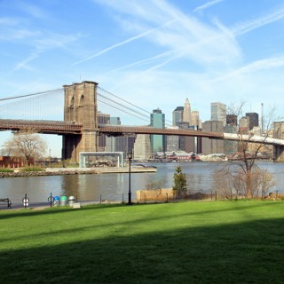 The lost and future wildlife of New York City's East River