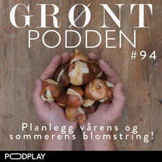 #94 Planlegg for vårens og sommerens blomstring
