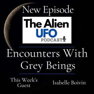 Encounters With Grey Beings