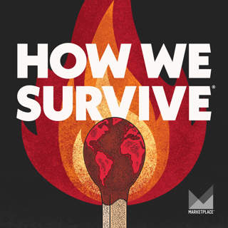 How to Dim the Sun, from Marketplace's How We Survive