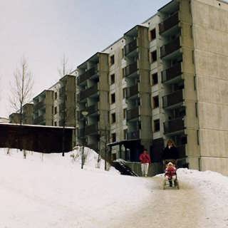 Bilden av Saltskog