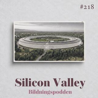 #218 Silicon Valley