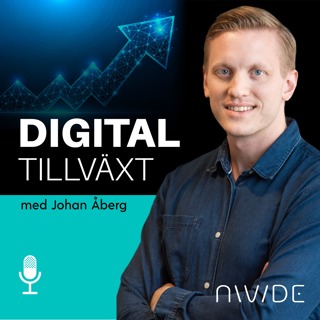 #169: Riktning vs. optimering i digital annonsering