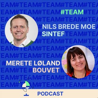 #TEAM: Hva skaper gode team?