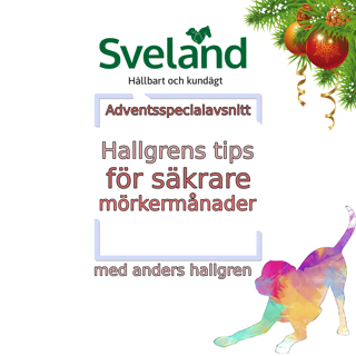 Hallgrens tips för säkrare mörkermånader [Adventsspecial]
